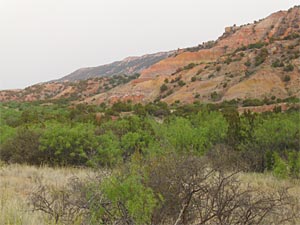 View from the Juniper Trail - Riverside